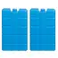 Trizand 40L Thermotas 23843 - Ruime en Waterbestendige Koeltas - Inclusief Koelelementen