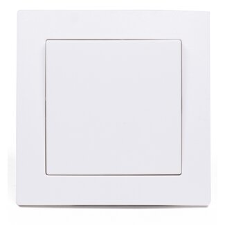 Benson Enkele inbouwschakelaar - wit - modern design - 250V/10A