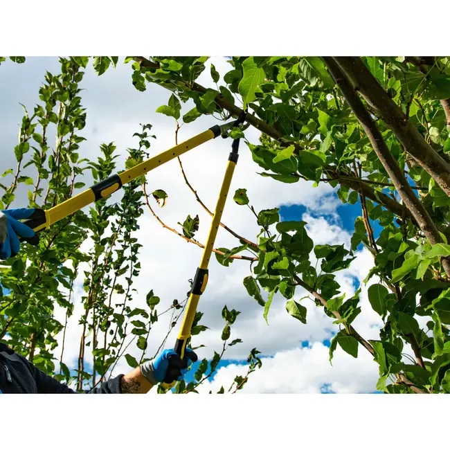 GEKO Telescopische takkenschaar - HCS staal - Teflon coating - 650-975 mm - Ergonomische grip