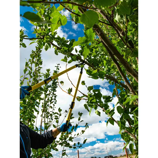 GEKO Telescopische takkenschaar - HCS staal - Teflon coating - 650-975 mm - Ergonomische grip