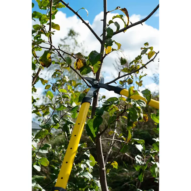 GEKO Telescopische takkenschaar - HCS staal - Teflon coating - 650-975 mm - Ergonomische grip