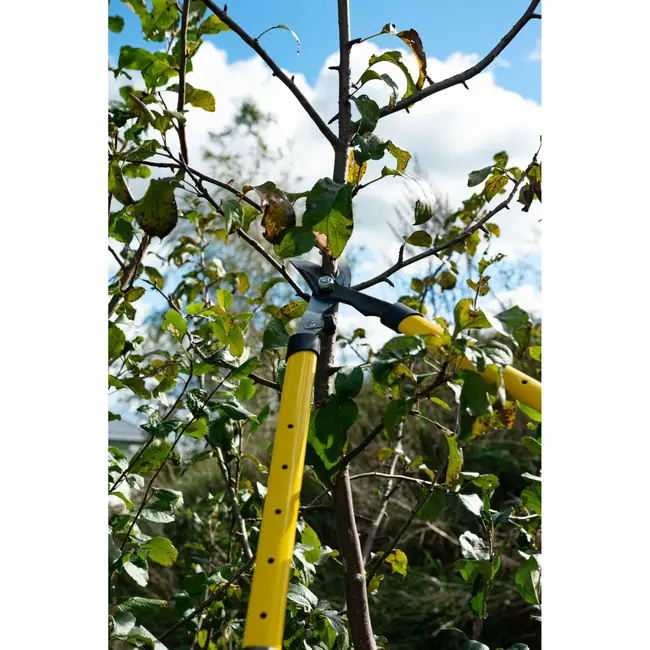 GEKO Telescopische takkenschaar - HCS staal - Teflon coating - 650-975 mm - Ergonomische grip