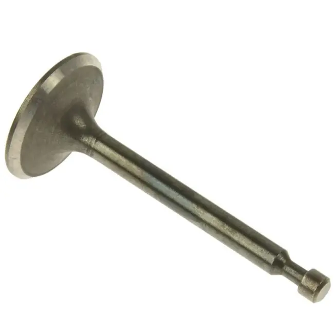 Keltin Inlaatklep - Duurzaam - Precisieontwerp - Betrouwbare Prestaties