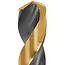 Tvardy Metaalboor - HSS 12 mm - TiN Coating - Zwart & Goud - Slijphoek 135° - 5 stuks