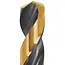 Tvardy Metaalboor - HSS 1,00 mm - TiN Coating - Zwart & Goud - Slijphoek 135° - 10 stuks