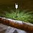 Keltin Solar tuinlampen - Compacte spikes - Neutraal wit licht - Weerbestendig - Set van 10 stuks