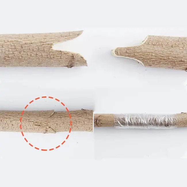 GEKO Gereedschapsset voor enten - ergonomisch - zwart - 3-10 mm - met handige koffer