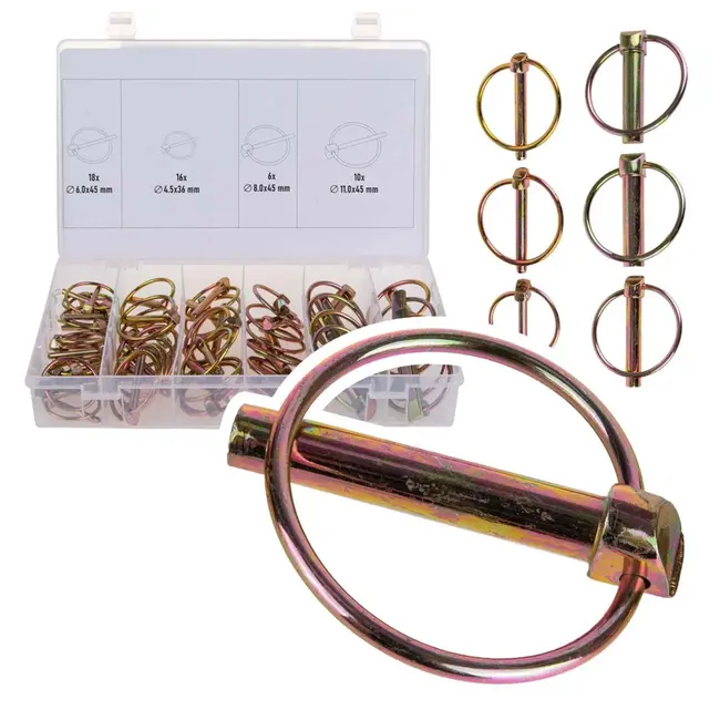 GEKO Lynchpennen set - 50 stuks - Diverse maten - Inclusief organizer