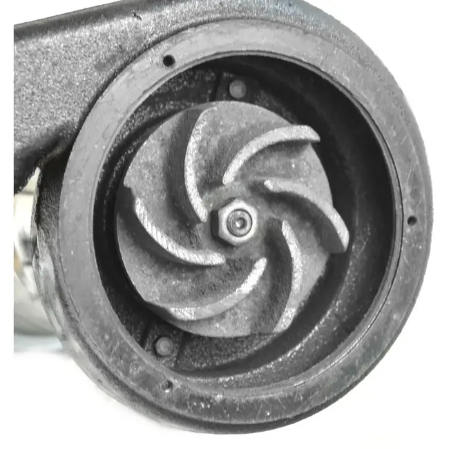 GEKO Efficiënte waterpomp - met vlotter en thermische beveiliging - 550W - 17.000 l/u - nikkel behuizing