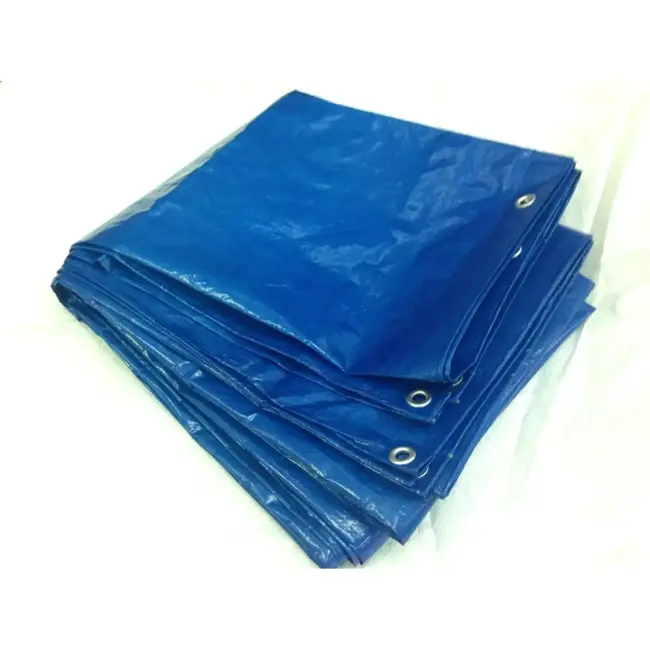 Benson Dekzeil 4x6 m - Blauw - Verstevigde Hoeken - PE 120GSM