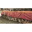 Benson Oranje dekzeil - 3x4 meter - Mesh structuur - PE 65GSM