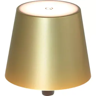 Benson Aanraakdimbare LED flessenlamp - goud - oplaadbaar - compact ontwerp - warm wit licht