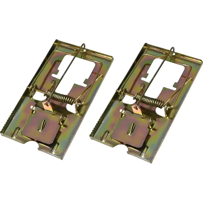 Benson Metalen muizenvallen - herbruikbaar - set van 2 - 11,5 x 6,1 cm