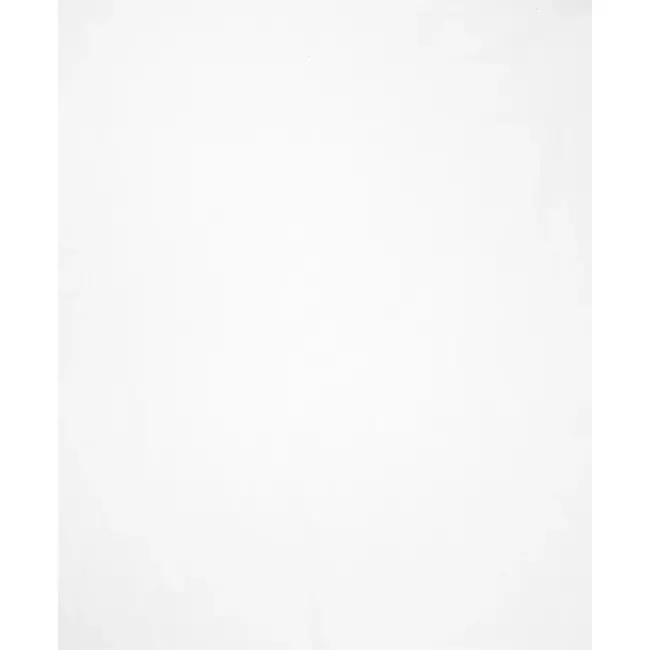 Benson Horrengaas voor raam - Insectenwerend - Eenvoudige montage - 130 x 150 cm - Wit