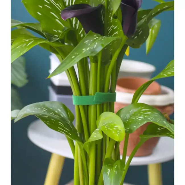 Gardlov Klittenband Plantbinder – Flexibele en Weerbestendige Tuinband - 5 meter