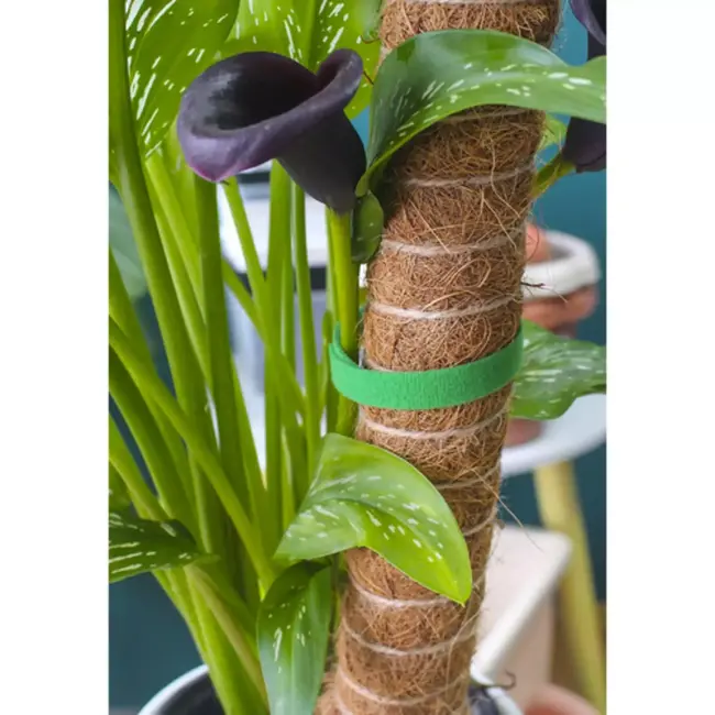 Gardlov Klittenband Plantbinder – Flexibele en Weerbestendige Tuinband - 5 meter