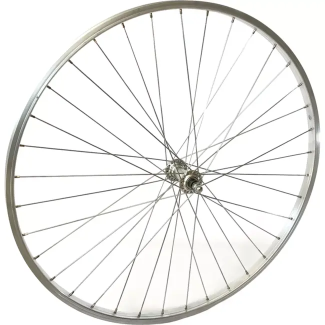 Roland Voorwiel 28 inch - Aluminium velg - Zilver - Vaste as - Stadsfiets
