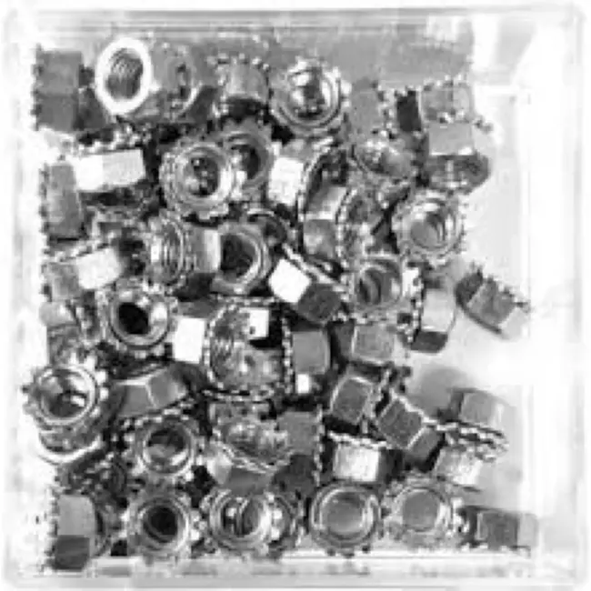 Bofix Moer M5 met veerring - Zelfborgend - Set van 100 stuks