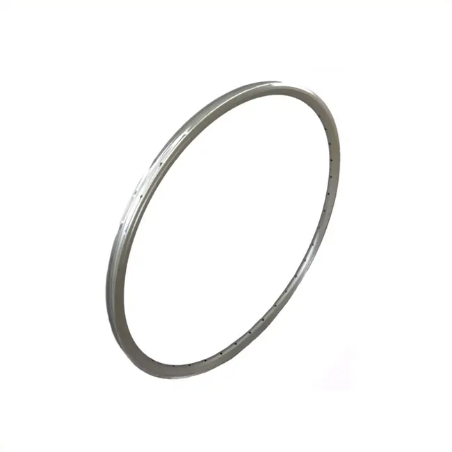 Rodi Zilveren aluminium velg - 622x19 mm - 36 gaats - Geschikt voor 28-inch wielen