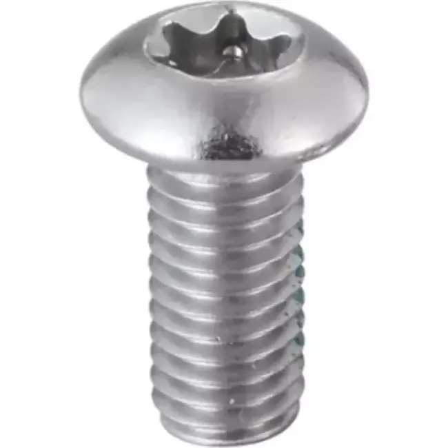 Elvedes RVS Torx remschijfbout - IS200 6-bouts montage - 100 stuks