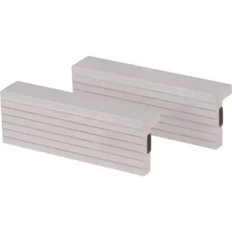 Cyclus Magnetische aluminium bekkenset voor 100mm bankschroef - 100x30mm - zilver