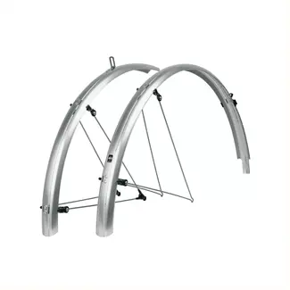 SKS Spatbordenset - Robuuste sandwichconstructie - ASR-veiligheidssysteem - Zilver - 55 mm breed