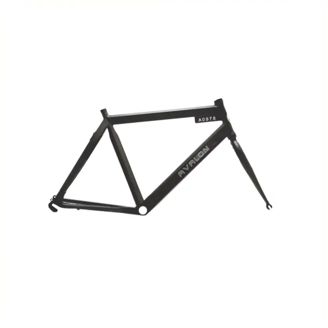 Avalon Fietsframe 58 cm - Mat zwart - Inclusief voorvork - Geschikt voor BSA trapas