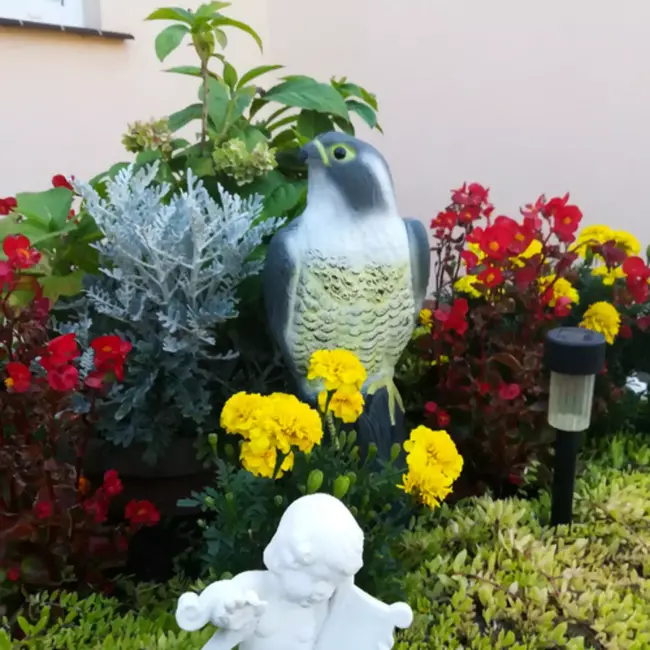 Repest Valk Vogelverschrikker - Realistisch en Diervriendelijk