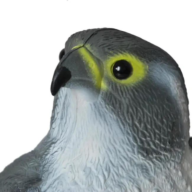 Repest Valk Vogelverschrikker - Realistisch en Diervriendelijk