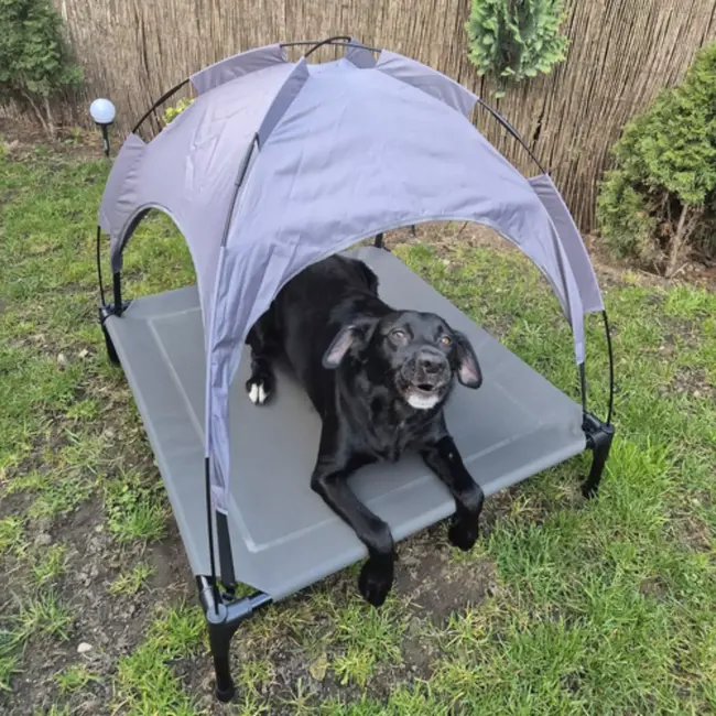 Trizand Overdekt Honden bed – Comfortabel en Opvouwbaar