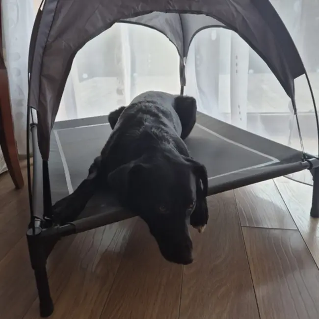 Trizand Overdekt Honden bed – Comfortabel en Opvouwbaar