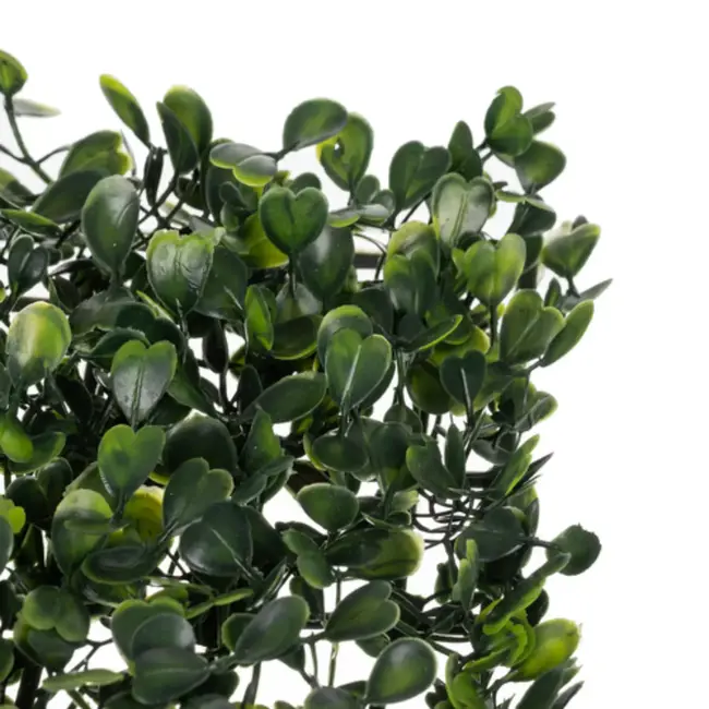 Gardlov Kunsthaag 40x60 – Sfeervolle Afscherming voor Balkon