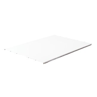 Triton Triton Tafelblad – Voor TPT125 Vlakbank – Origineel Schaafoppervlak – 317 mm