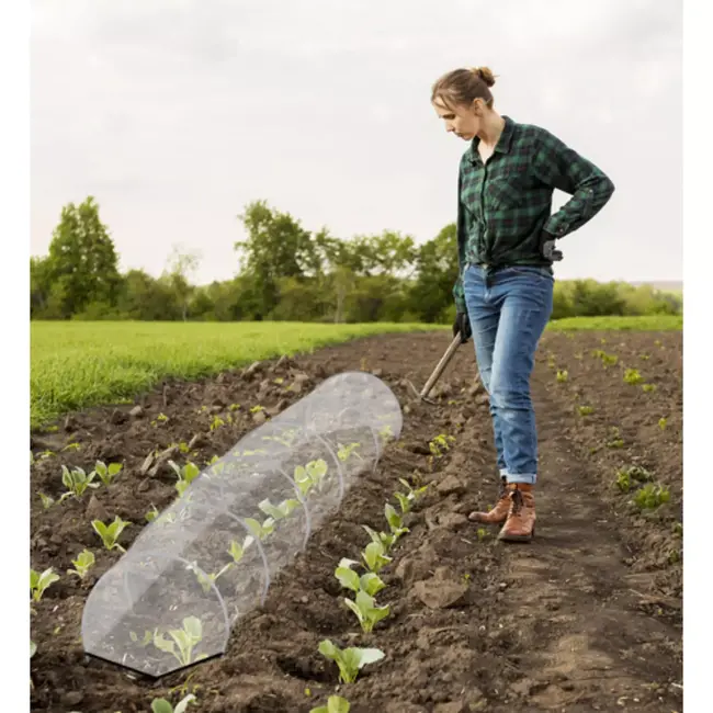 Gardlov tunnelkas tuin 250x200x200 cm met UV folie en oprolbare deur en ramen