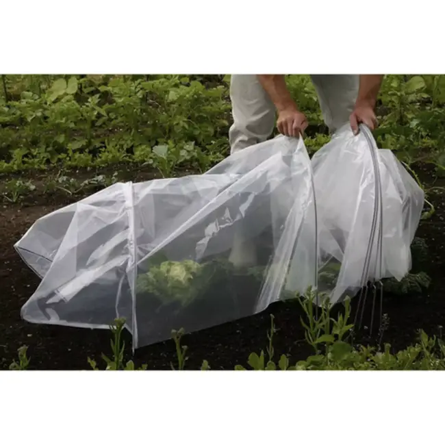 Gardlov tunnelkas tuin 250x200x200 cm met UV folie en oprolbare deur en ramen