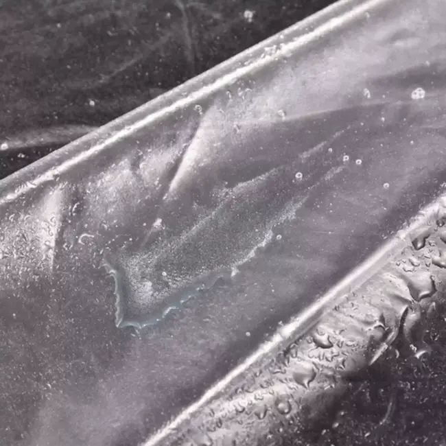 Gardlov tunnelkas tuin 250x200x200 cm met UV folie en oprolbare deur en ramen