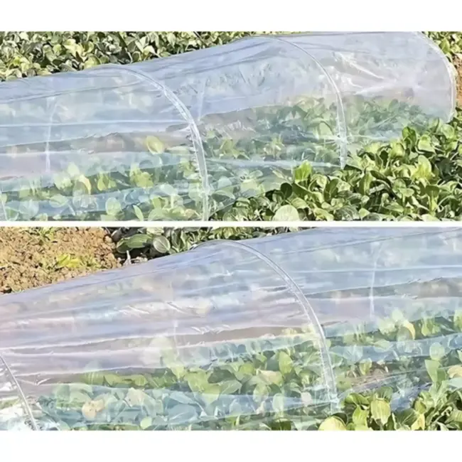 Gardlov tunnelkas tuin 250x200x200 cm met UV folie en oprolbare deur en ramen