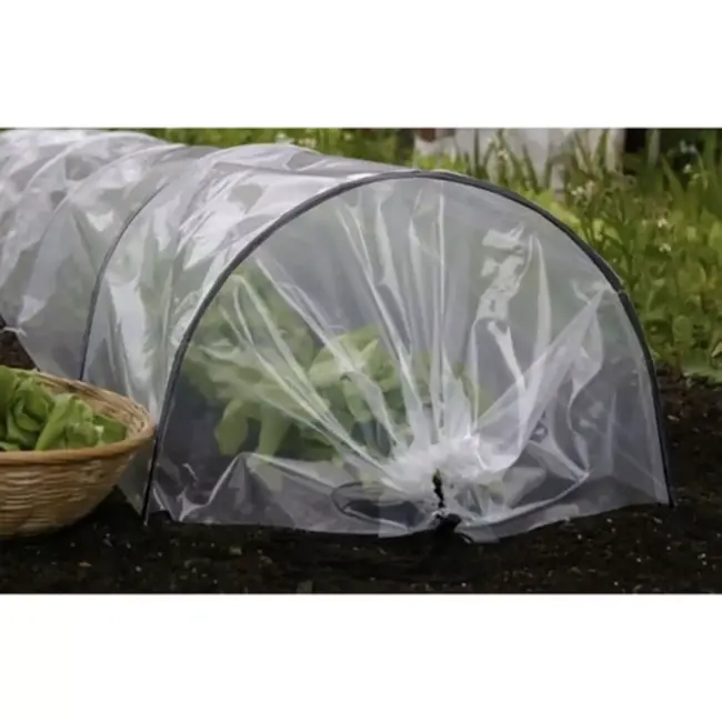 Gardlov tunnelkas tuin 250x200x200 cm met UV folie en oprolbare deur en ramen