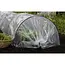 Gardlov tunnelkas tuin 250x200x200 cm met UV folie en oprolbare deur en ramen