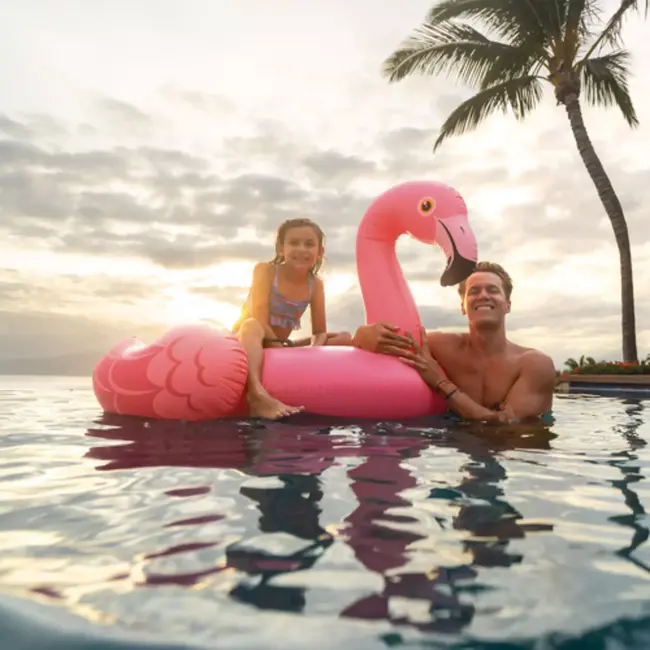 Intex flamingo luchtmatras roze 142x137 cm met handgrepen opblaasbaar zwembadfiguur