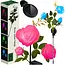 Gardlov solar rozenlamp – LED tuinverlichting met 3 bloemen – kleurrijk en weerbestendig