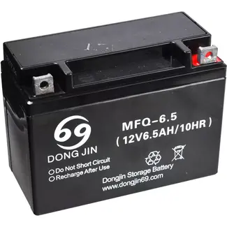 GEKO Accu 12V - 6,5Ah - Geschikt voor diverse toepassingen - Betrouwbare prestaties