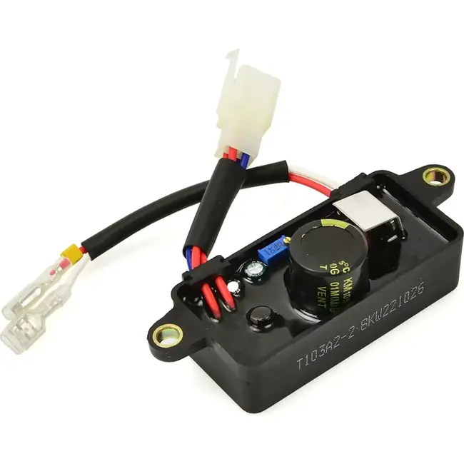 Tvardy Regulator voor generator - Automatische spanningsregelaar - Duurzaam materiaal - Geschikt tot 5000W