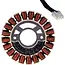 Tvardy Stator voor generator - Geschikt voor model T05015 - Reserveonderdeel - 0,8 kg