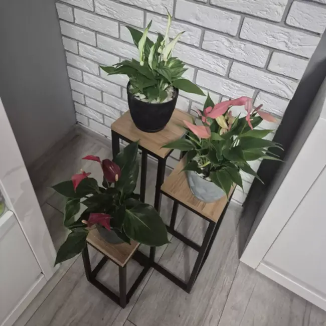 Ruhhy plantenstandaard 67 cm – moderne loft bloemenstandaard met 3 plateaus