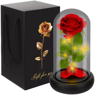 Ruhhy roos in glas – met LED-verlichting – luxe geschenk voor Moederdag