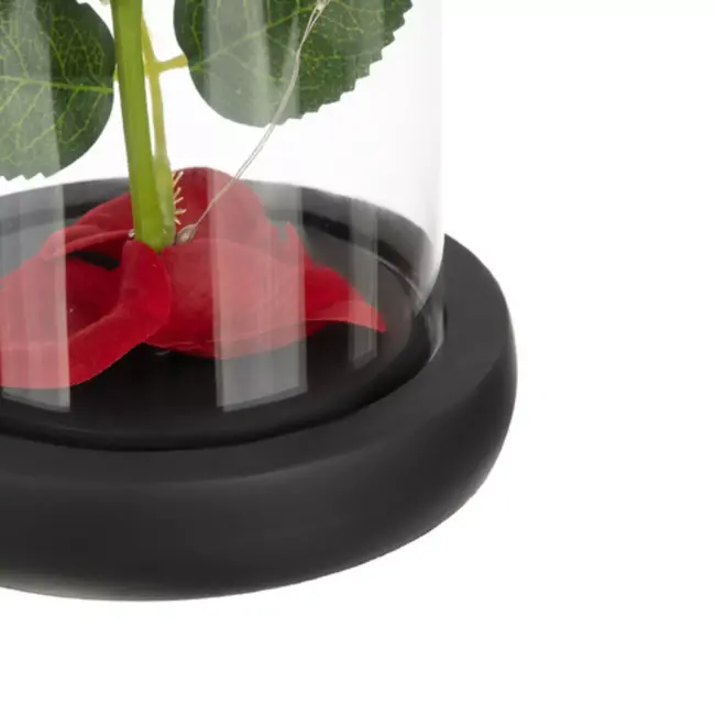 Ruhhy roos in glas – met LED-verlichting – luxe geschenk voor Moederdag