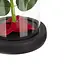 Ruhhy roos in glas – met LED-verlichting – luxe geschenk voor Moederdag
