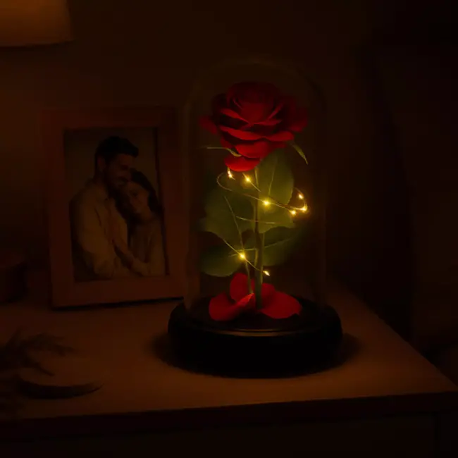 Ruhhy roos in glas – met LED-verlichting – luxe geschenk voor Moederdag