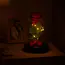 Ruhhy roos in glas – met LED-verlichting – luxe geschenk voor Moederdag
